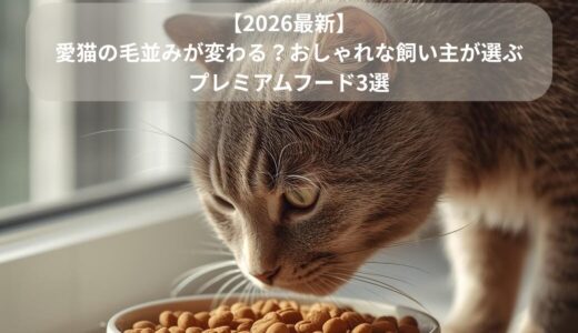 【2026最新】愛猫の毛並みが変わる？おしゃれな飼い主が選ぶプレミアムフード3選